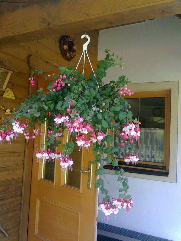 Appartement Pension Grasser Bad Kleinkirchheim Exteriér fotografie